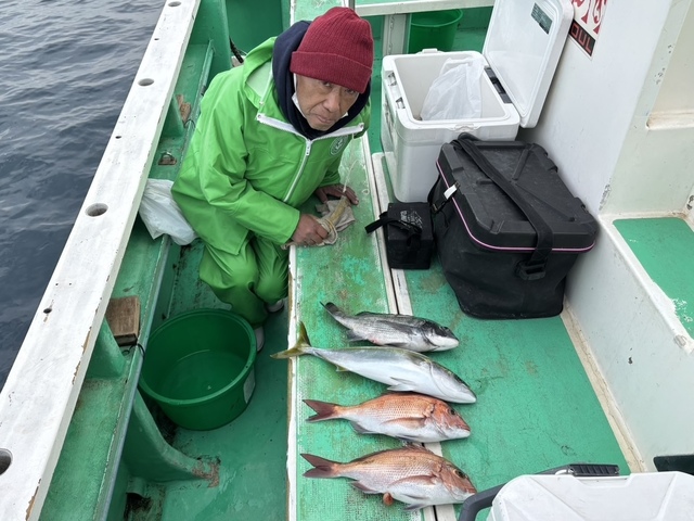 マダイ・イナダ(ブリ)