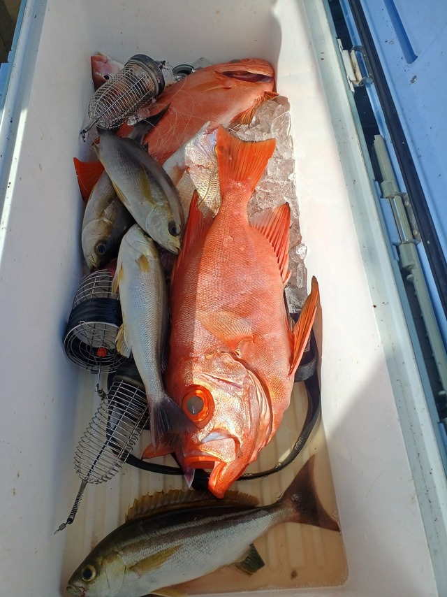 イサキ・チカメキントキ