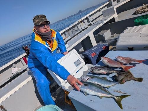 マダイ・クロダイ・イナダ(ブリ)・カワハギ