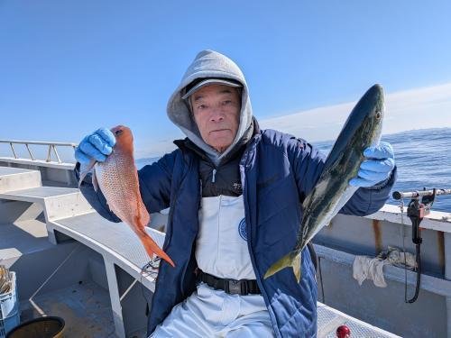 マダイ・イナダ(ブリ)