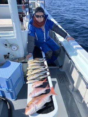 マダイ・コダイ(マダイ)・イサキ