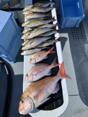 マダイ・コダイ(マダイ)・イサキ