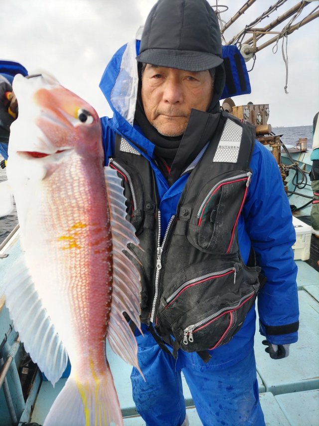 アマダイ(アカアマダイ)