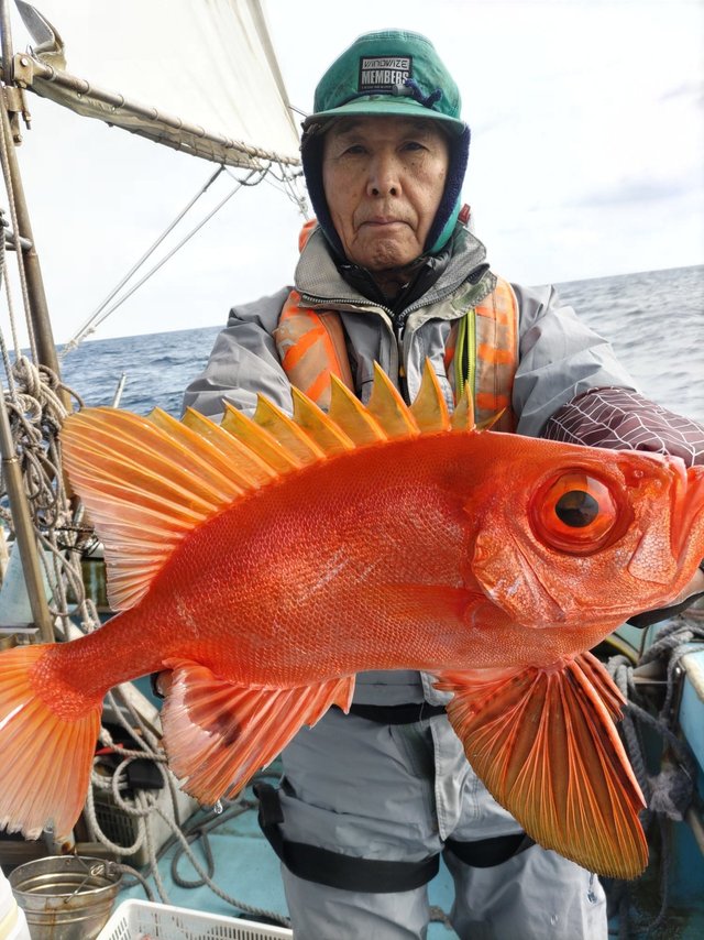 チカメキントキ