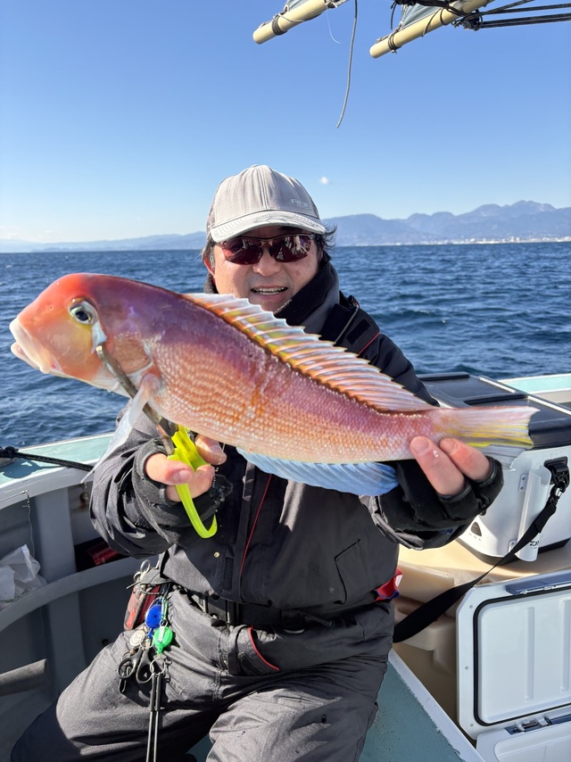 アマダイ(アカアマダイ)