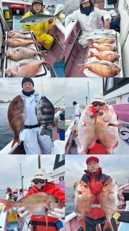 マダイ・イシダイ