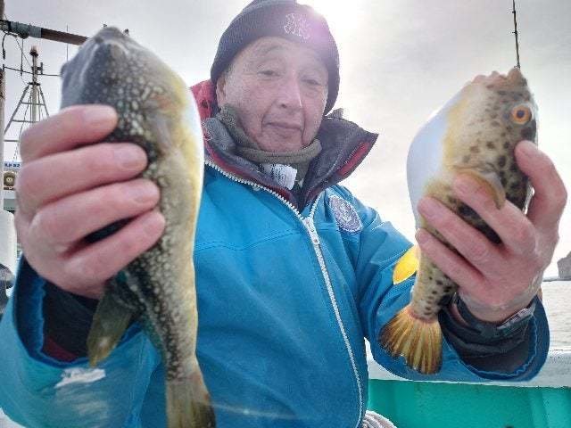 ヒガンフグ・コモンフグ