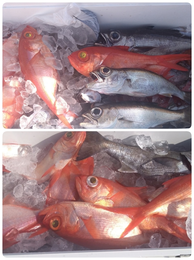 クロムツ・キンメ(キンメダイ)