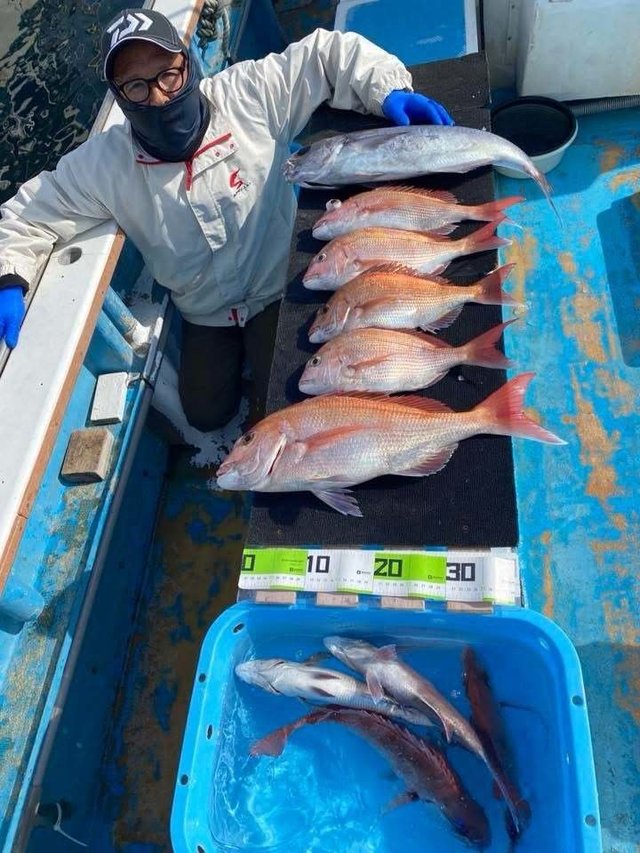 マダイ・メダイ