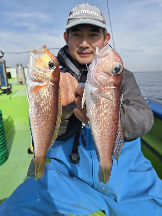 アマダイ(アカアマダイ)