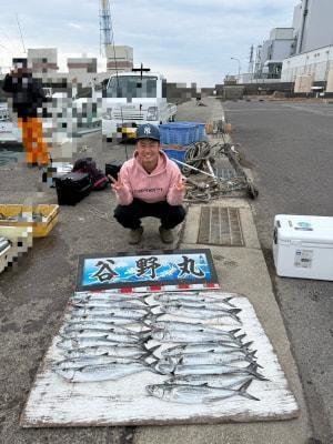 サゴシ(サワラ)・ヤナギ(サワラ)