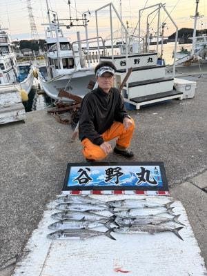 サゴシ(サワラ)・ヤナギ(サワラ)