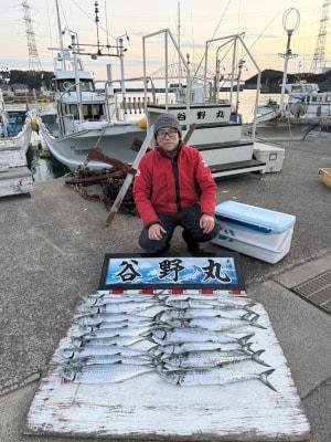 サゴシ(サワラ)・ヤナギ(サワラ)