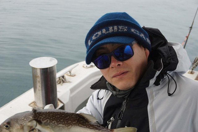 ショウサイフグ