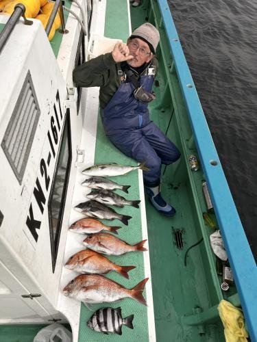 マダイ・クロダイ・イシダイ・イナダ(ブリ)