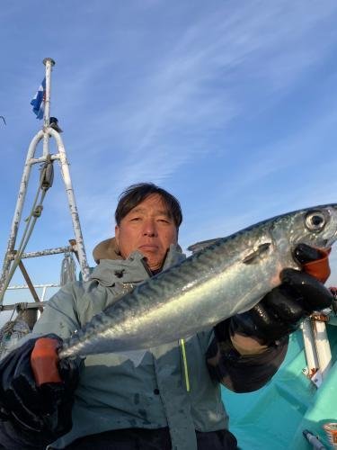 サバ(ゴマサバ)