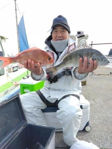 マダイ・クロダイ