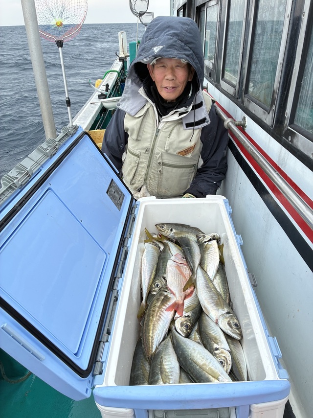 マダイ・マアジ