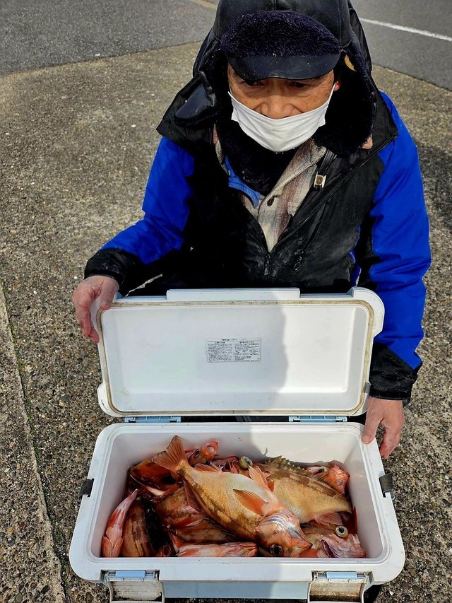 オキメバル(ウスメバル)