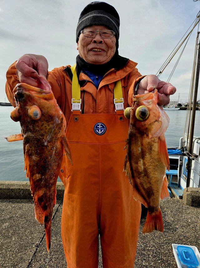 オキメバル(ウスメバル)