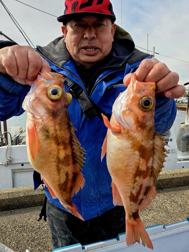 オキメバル(ウスメバル)