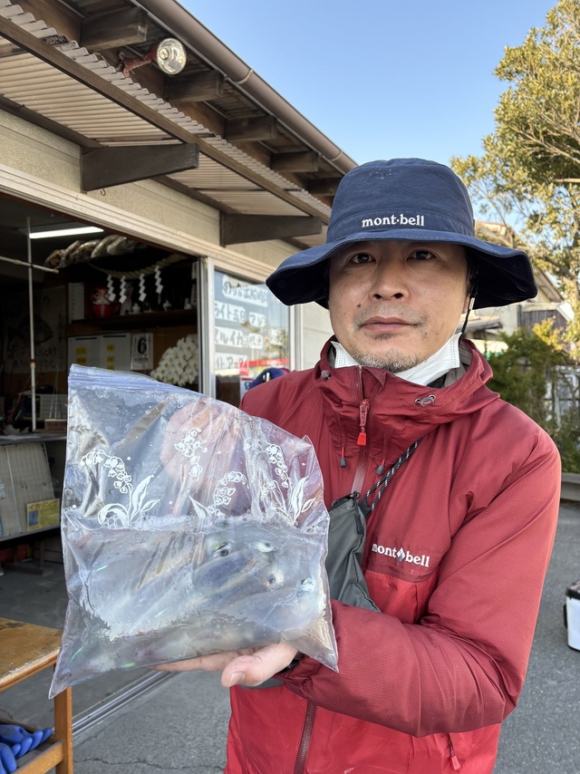 マルイカ(ケンサキイカ)