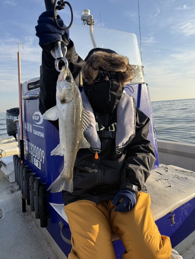 シーバス(スズキ)