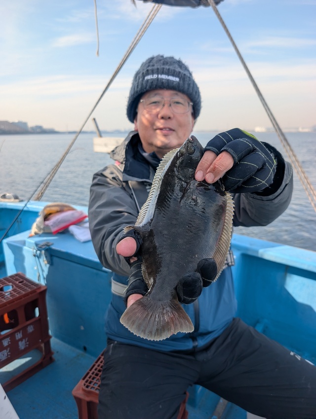 カレイ(マコガレイ)