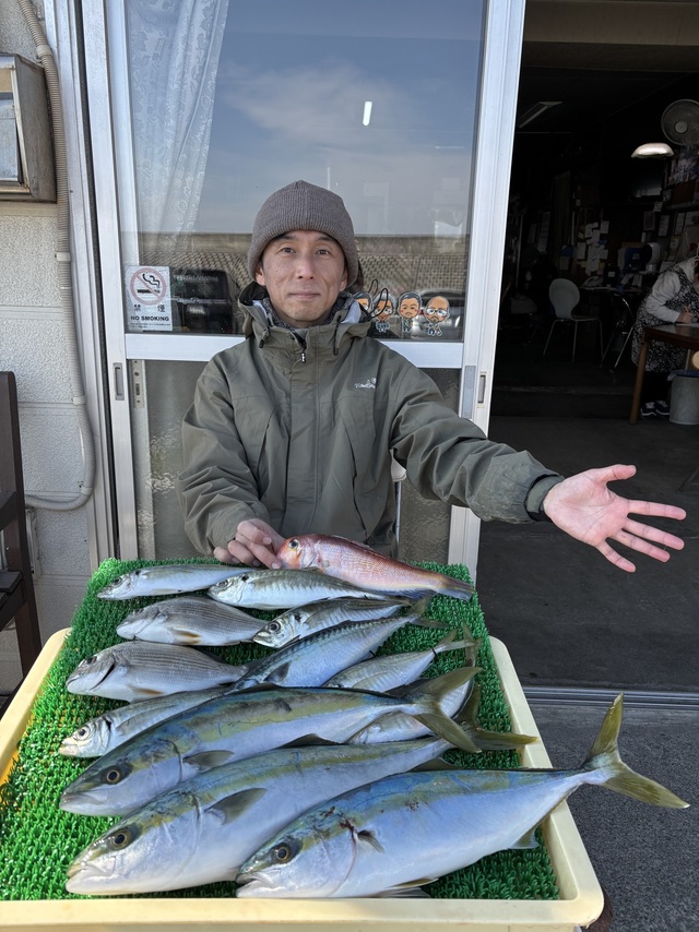 アジ(マアジ)・イナダ(ブリ)