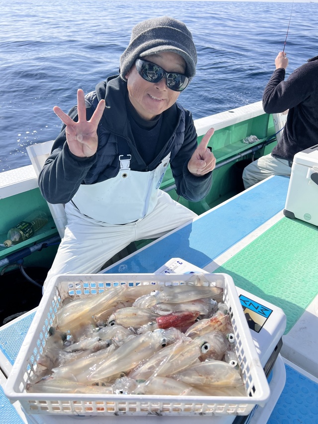 マルイカ(ケンサキイカ)