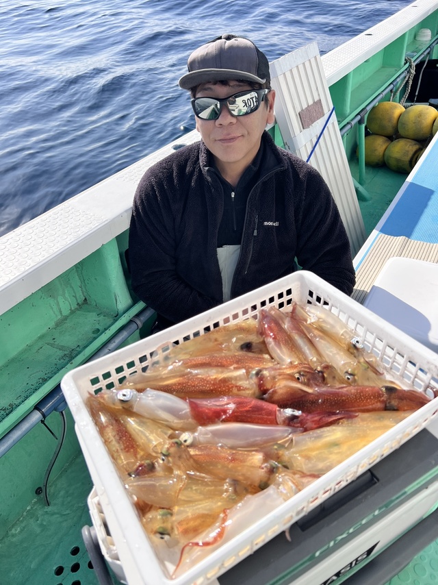 マルイカ(ケンサキイカ)