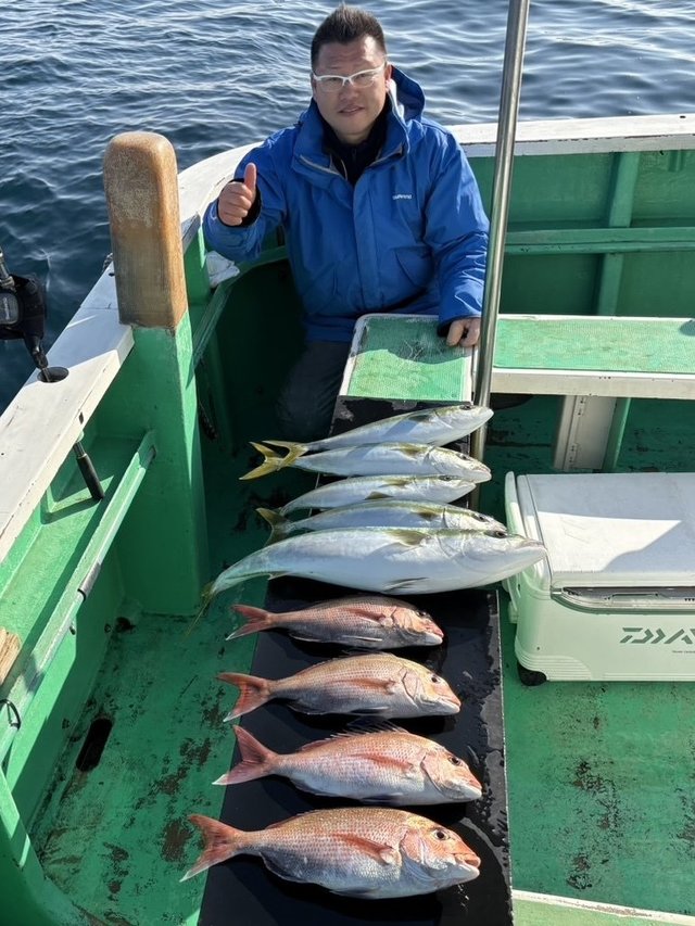 マダイ・イナダ(ブリ)