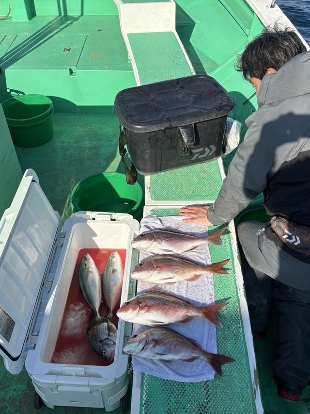 マダイ・イナダ(ブリ)