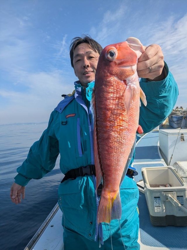 アマダイ(アカアマダイ)