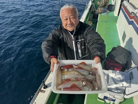 マルイカ(ケンサキイカ)