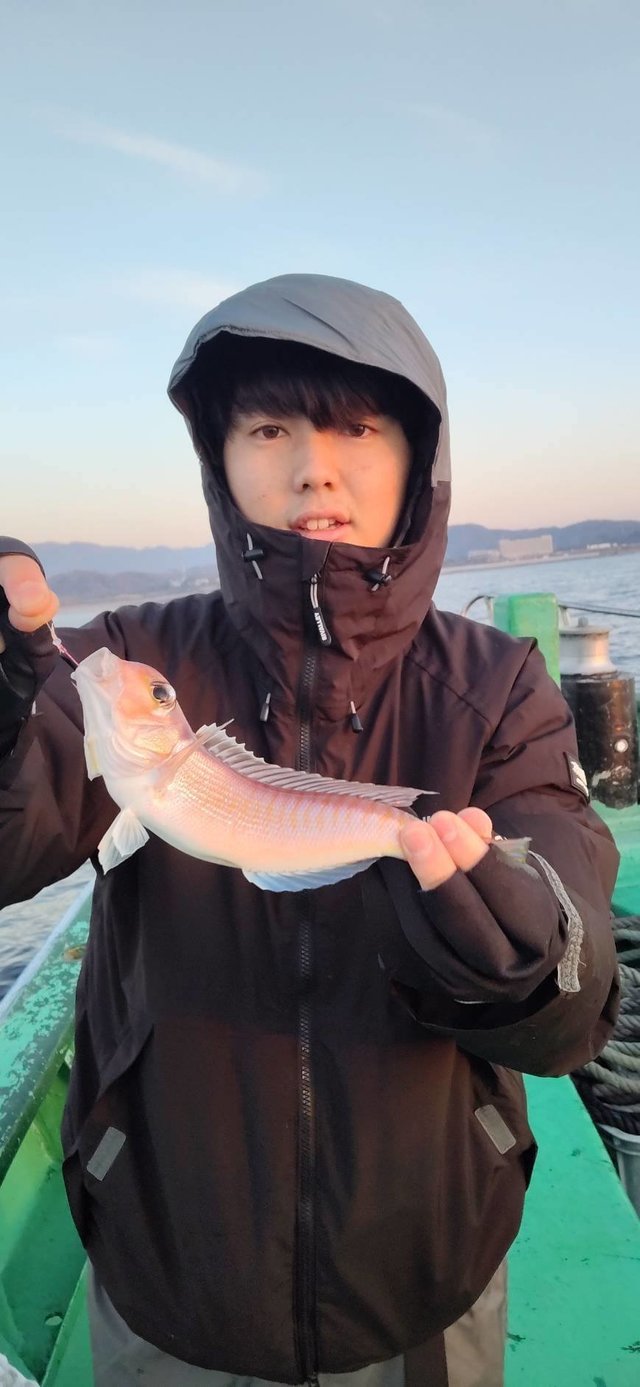 アマダイ(アカアマダイ)