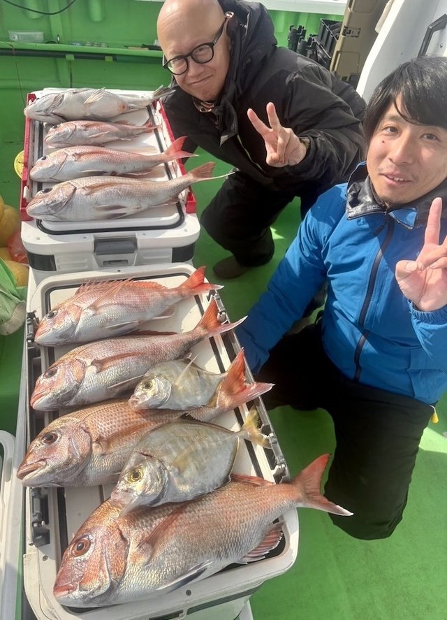 マダイ・カイワリ