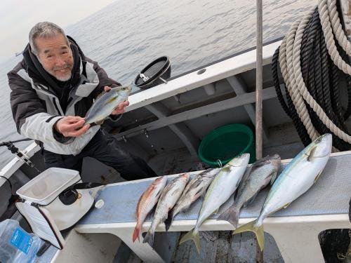 マダイ・クロダイ・イナダ(ブリ)