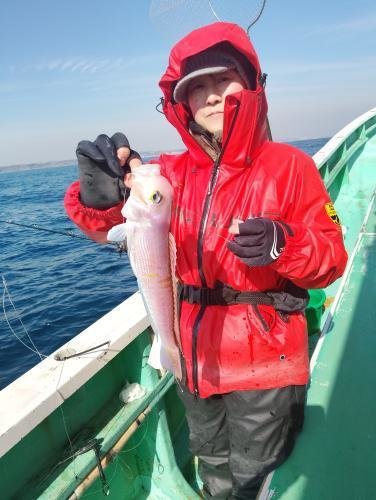 アマダイ(アカアマダイ)