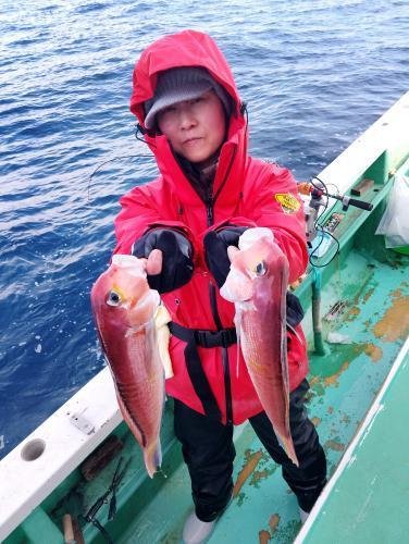 アマダイ(アカアマダイ)