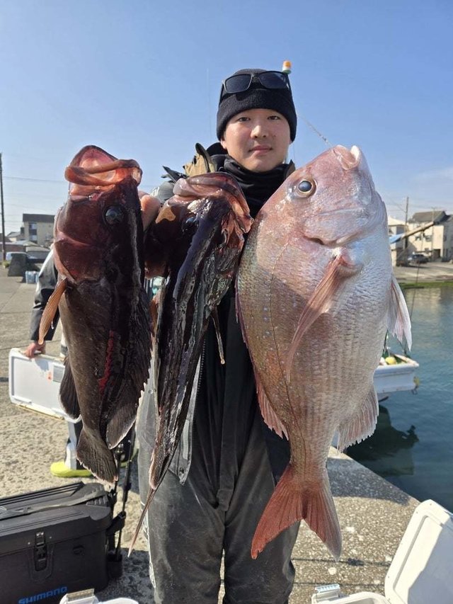 マダイ・ハタ(マハタ)