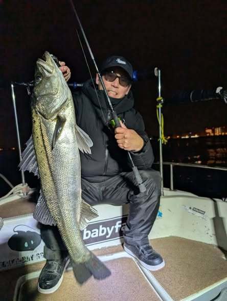 シーバス(スズキ)