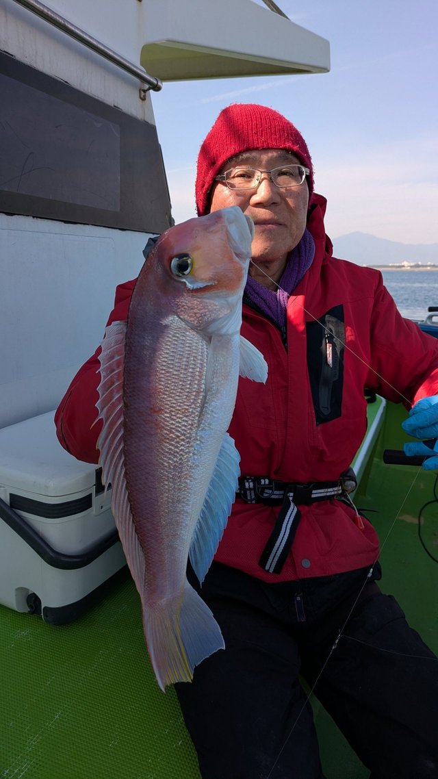 アマダイ(アカアマダイ)