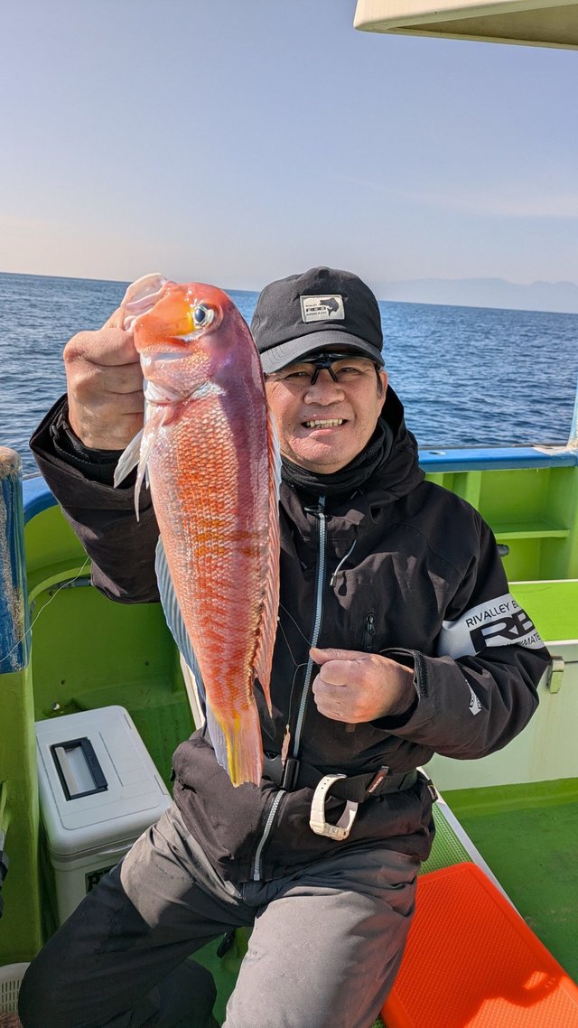 アマダイ(アカアマダイ)