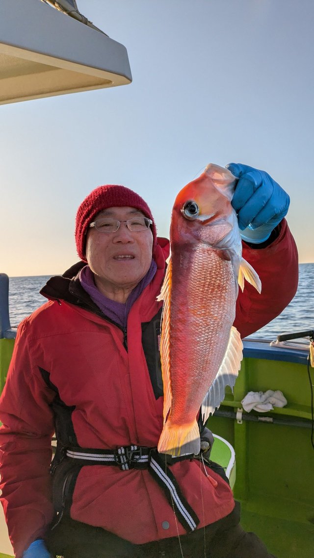 アマダイ(アカアマダイ)