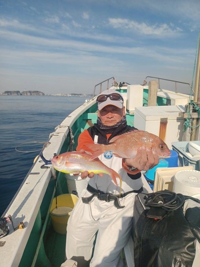 マダイ・イトヨリ(イトヨリダイ)