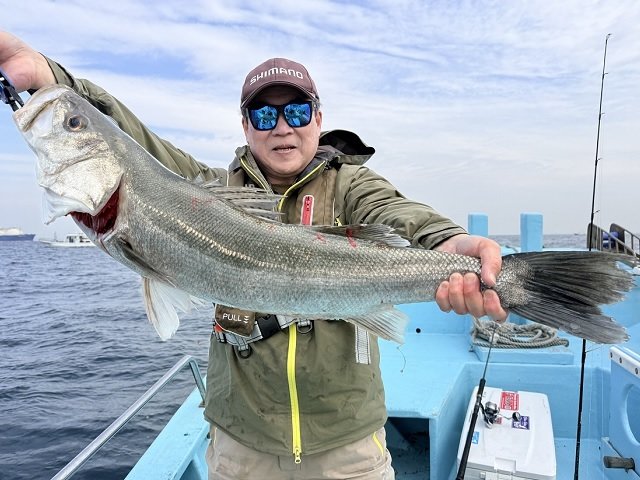 シーバス(スズキ)