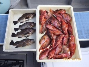 カサゴ・メバル