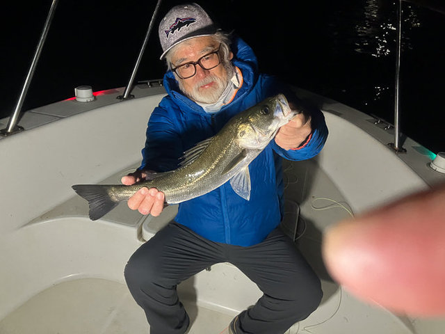 シーバス(スズキ)