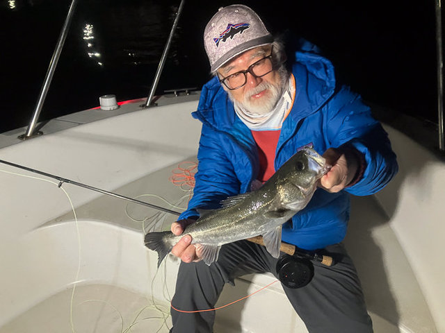 シーバス(スズキ)